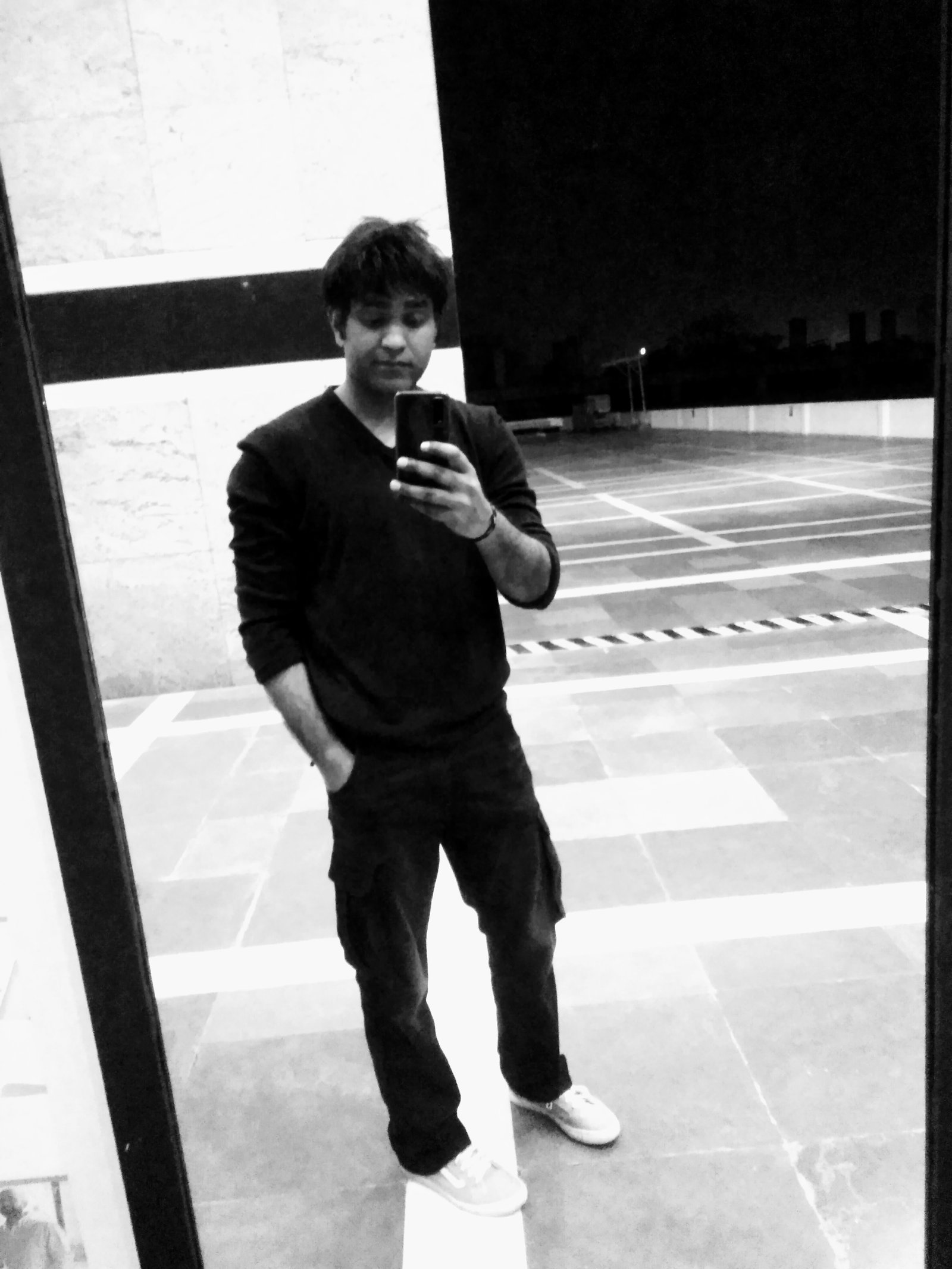 Vipin Shishodia